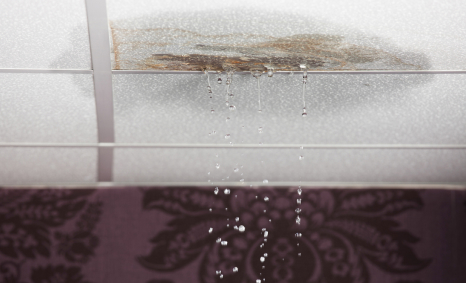 Plumber Carrum Downs